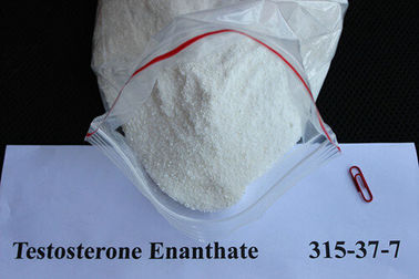 چین ایمن Anabolic Testosterone Enanthate داروی استروئیدها مواد اولیه CAS 315-37-7 تامین کننده